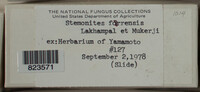 Image Associated With the Occurence